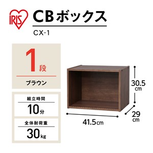 【大口受付中！】【アイリスオーヤマ　収納・家具　ボックス収納】　CBボックス