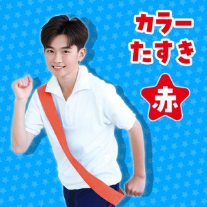 Costumes Accessories