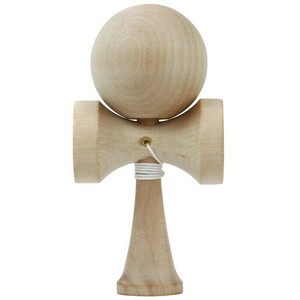 Educational Toy