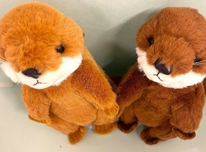 TO*野生動物シリーズ　カワウソ　立型　這い型　ヌイグルミ