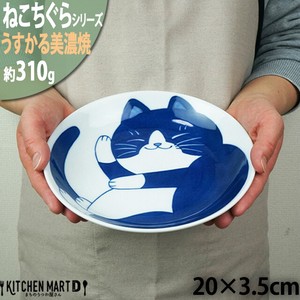 Mino ware Main Plate 20cm