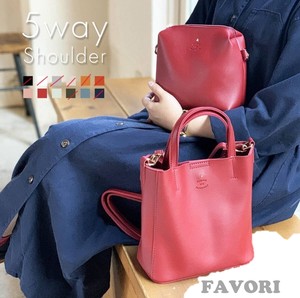 Shoulder Bag Mini Formal 5-way