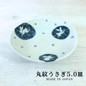 Mino ware Main Plate Japanese Tableware 16.5cm Made in Japan