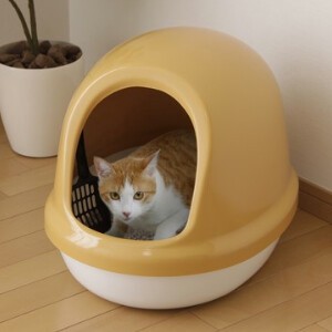 【アイリスオーヤマ　ペット用品・ペットフード　トイレ】　ネコのトイレフルカバー