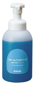 フォームハンドソープ専用ボトル　500ml（ポンプ付）
