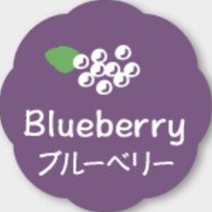 Gift Snack Stickers Blueberry Sweets