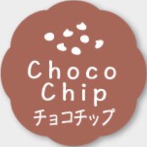 お菓子用フレーバーシール　チョコチップ