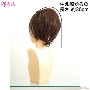 Half Wig