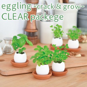 eggling エッグリング CLEAR クリアパッケージ　EG-57　栽培キット
