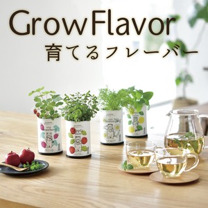 Grow Flavor 育てるフレーバー GD-905　ハーブ栽培キット