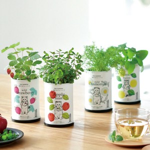 Grow Flavor 育てるフレーバー ミント カモミール ハーブ 栽培セット GD-905