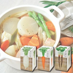 おうちで根菜 野菜 大根 にんじん ゴボウ 栽培セット GD-891