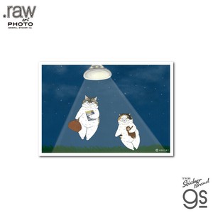 世にも不思議な猫世界 L判絹目生写真 いざ宇宙へ RAW011 KORIRI グッズ 猫 イラスト