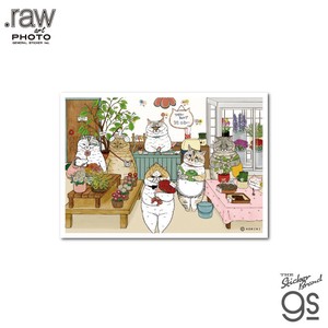 世にも不思議な猫世界 L判絹目生写真 フラワーショップ ちろ&みｰ RAW014 KORIRI グッズ 猫