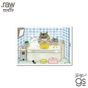 世にも不思議な猫世界 L判絹目生写真 お父さんとお風呂 RAW016 KORIRI グッズ 猫 イラスト
