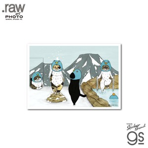 世にも不思議な猫世界 L判絹目生写真 ネコペンギン RAW017 KORIRI グッズ 猫 イラスト