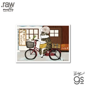 世にも不思議な猫世界 L判絹目生写真 雨にも負けず RAW019 KORIRI グッズ 猫 イラスト