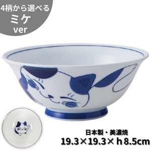 Mino ware Main Dish Bowl Ramen Pottery Made in Japan