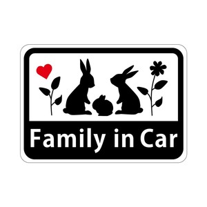 Car Accessories Family