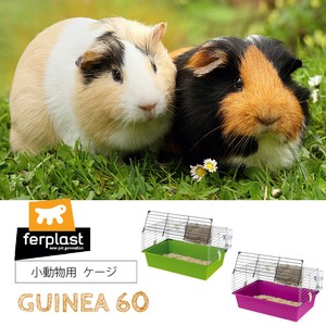 モルモット用ケージ　ギニア(キャビエ)　60〜GUINEA 60〜 小動物