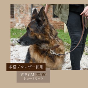 犬用 散歩 リード 本格ブルレザー使用革犬具VIP GM20/60 ショート タンビキ 短引