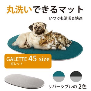 Bed/Mattress Washable