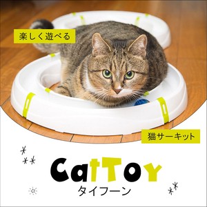 タイフーン サーキット 猫 ネコ おもちゃ ボール