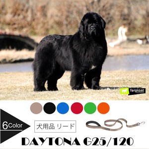 犬用 散歩リード　デイトナ DAYTONA G25/120