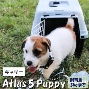 犬猫用ハードキャリー アトラス 5パピー Atlas 耐荷重3kgまで