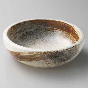 Main Dish Bowl Porcelain Made in Japan