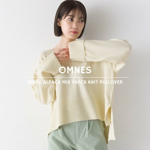 Sweater/Knitwear Pullover V-Neck