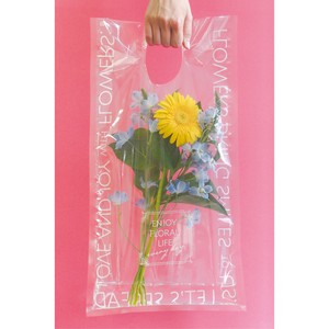 Handy Bags Clear 25 x 45cm 1-colors