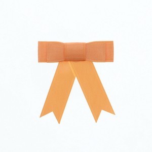 エスプリリボン　オレンジ　10個入