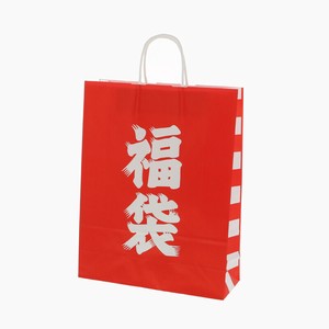 ヘイコー 手提げ 紙袋 25チャームバッグ 2才 福袋 50枚