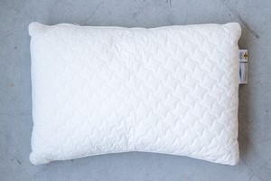 枕の概念が変わる。”寝姿勢”を正して丸洗いもできる日本製「抗ウイルス」枕（洗い替え枕カバー付セット）