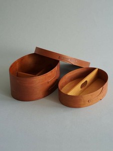 Accessory Case