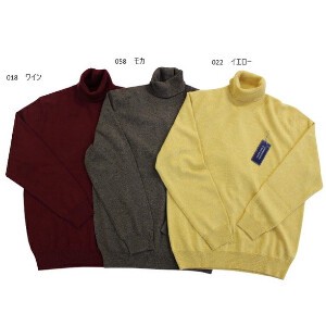 Sweater/Knitwear Cashmere Turtle Neck