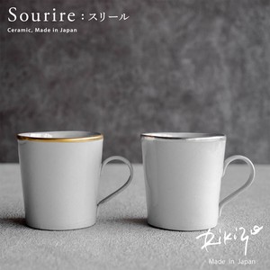 Rikizo Kasama ware Mug Gift Cafe sliver Made in Japan