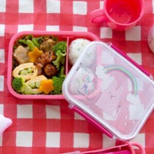 Bento Box Lunch Box 430ml Made in Japan