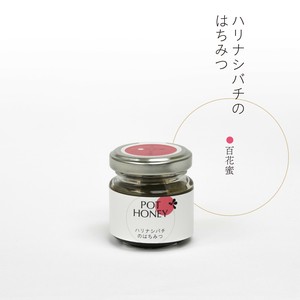 ハリナシバチのはちみつ　 百花蜜　40g