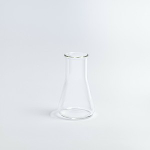 BOROSIL 広口フラスコ 250 ブランク
