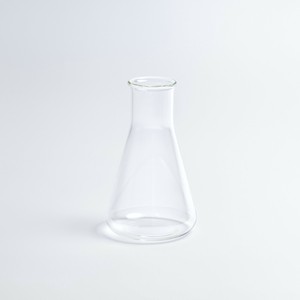 BOROSIL 広口フラスコ 500 ブランク