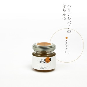 ハリナシバチのはちみつ　 アカシアTb　40g