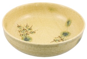 Seto ware Main Dish Bowl