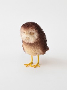 Scrub Animal Owl 8 1 7 16