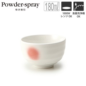 Japanese Teacup Pottery