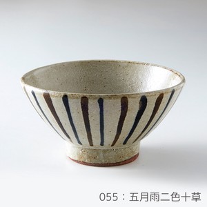 Rikizo 手作りご飯茶碗 クラフトライスボウル 055 五月雨二色十草 おしゃれ 和食器 飯碗