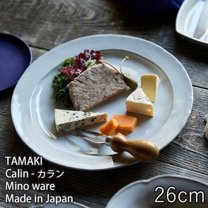 美濃焼 日本製 TAMAKI カラン リムプレート26  [食器 お皿 おしゃれ 北欧 陶器 くすみ]