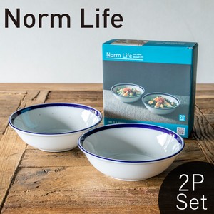 2Pセット 日本製 美濃焼 ノームライフ ボウル20 おしゃれ 食器 陶器 北欧 ギフト