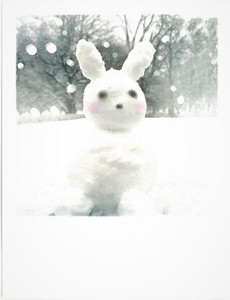 Postcard Christmas Rabbit